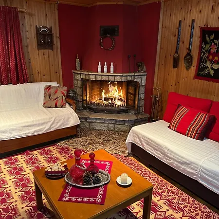 Apartment Traditional Wooden Koutsodimos