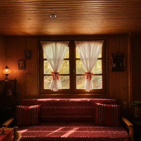 Apartment Traditional Wooden Koutsodimos